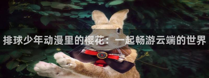 那片星空那片海2电视剧