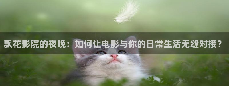 蜜桃视频大全在线观看