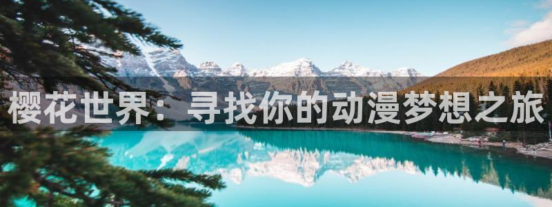 星空电影网免费看电影