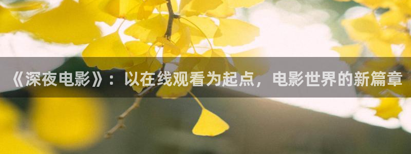 星空传媒电影