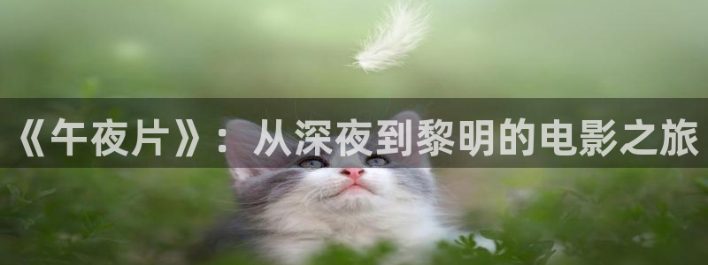 蜜桃视频在线观看电视剧免费