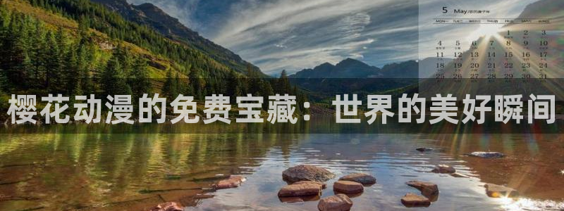 星空视频影视大全观看