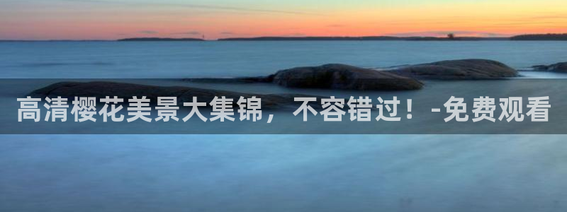 星空免费观看电视剧电影