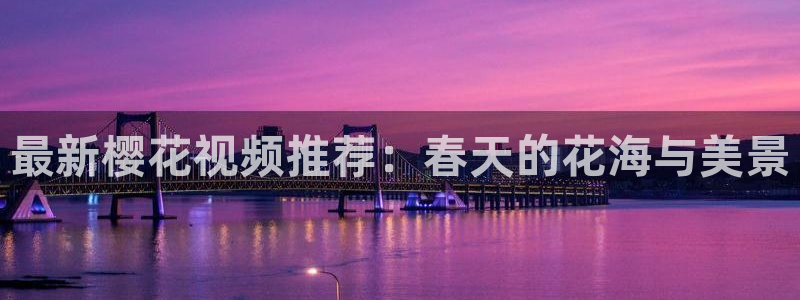 星空传媒免费视频观看
