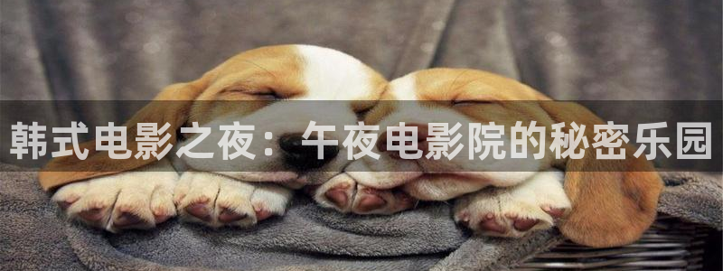 蜜桃视频电视免费看你比星光