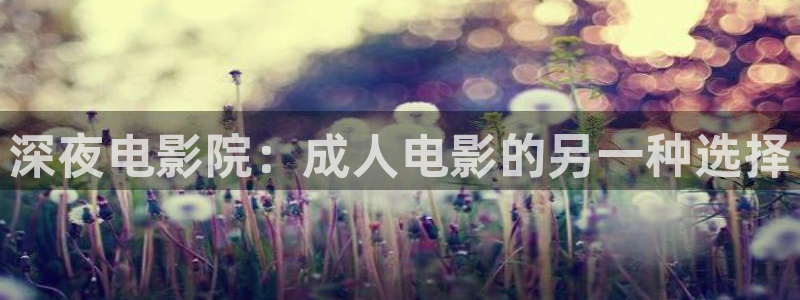 星空电影网免费观看
