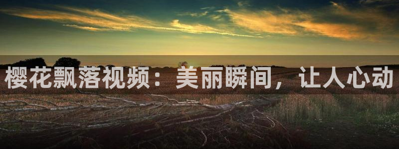 星空影视在线观看电视剧免费