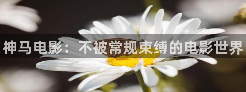 琅琊榜蜜桃视频