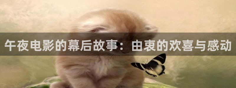 影视星空