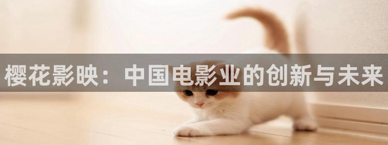蜜桃视频免费观看电视剧电影最新