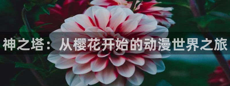 星空无限传媒观看