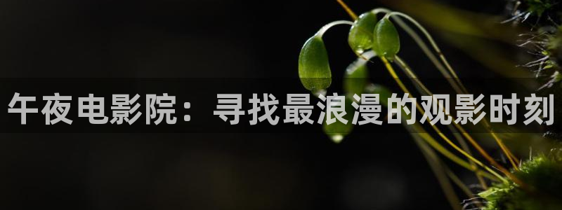 关岭星空影城