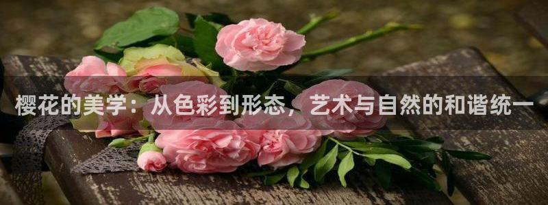 蜜桃视频手机免费观看下载